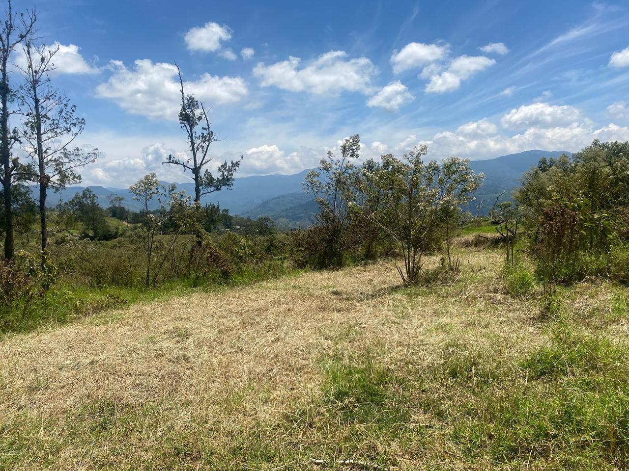 Paisaje Finca Praderas